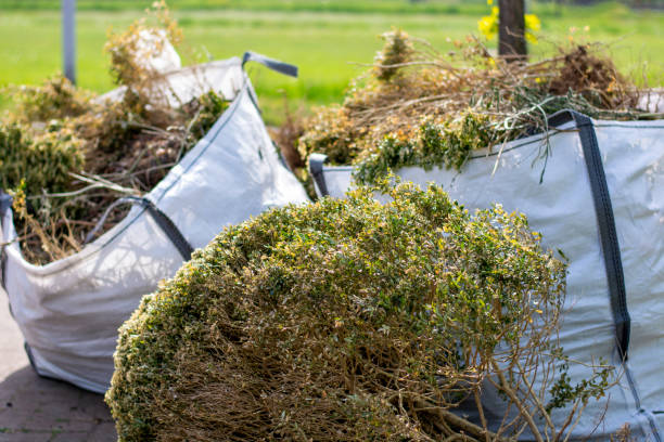 Best Hoarding Cleanup  in Poteau, OK